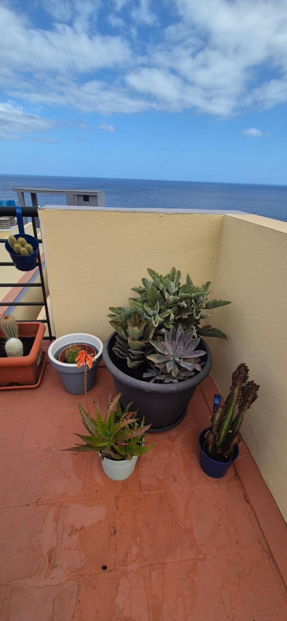 Meerblick Caletillas Candelaria Buitenkant foto